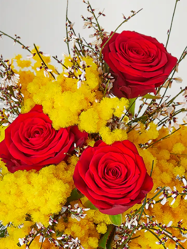 Bouquet di mimosa con 3 rose rosse macro